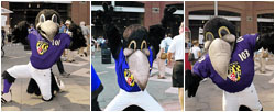 Poe's brothers Edgar and Allan step up to fill in as Ravens mascots